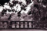 Ch�teau Duhart Milon Grand Cru Class� Pauillac